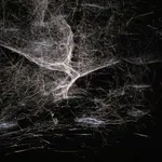 tomas saraceno spider box