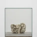 Image of Double Clayhead on Concrete Floor