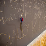 Image of After the Wake Up