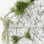 Tomás Saraceno, Installation at the Gardens of Sudeley Castle, Winchcombe, UK, 2006