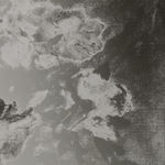 Image of Blumenstilleben, N.D./2022 (Version II)