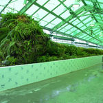 image of dion vivarium