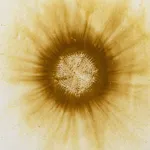 Image of Earth Sun I am