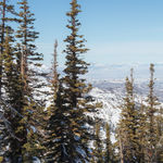 Image of We'll All Go Together.