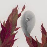 Peggy preheim collage