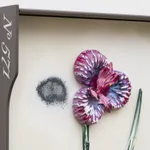 Image of Curtis (No. 571).