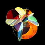 Image of Foam SB 110/16p.