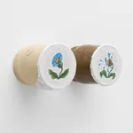 Image og Clementine (Bud).