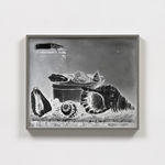 Image of Lisa Oppenheim work of Stilleven (Schelpen), N.D./2023, Version I