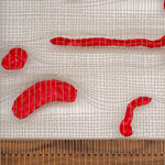 Image of Core Memory (Red).