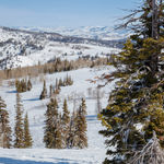 Image of We'll All Go Together.