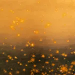 Image of The Stars' Paradox.