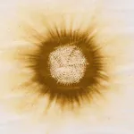 Image of Eu nasci assim Terra Sol