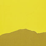 analia saban yellow print