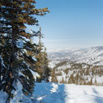 Image of We'll All Go Together.