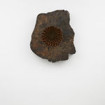 Image of Hrafntinnublómstur (Obsidian bloom) 2