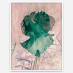 Image of Mme Steichen Version XVI.