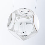 image of Echoes of an inversion