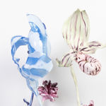 Image of Polypore nr 1