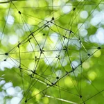 Image of Omega Centauri 3.9.