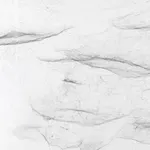 Image of spider box.