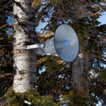 Image of We'll All Go Together.