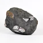 post fordite sculpture