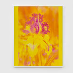 Image of Mons. Steichen II.