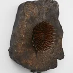Image of Hrafntinnublómstur (Obsidian bloom) 2