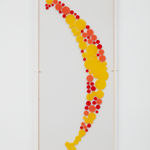 Image of What's the flavor neighbor?.