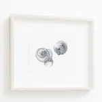 Image of Ha Chi Ki...