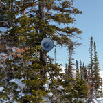 Image of We'll All Go Together.