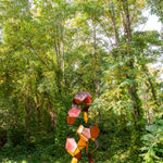 Image of Silent Autumn (Ross 508 B/M+M)