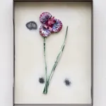 Image of Curtis (No. 571).