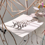 Image of Landing (Nest Series)