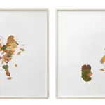 Image of Silent Autumn 21092021