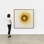 Image of Earth Sun I am