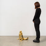 Image of Possibilities Untouched by the Mind.