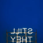 Shilpa Gupta, Still They Know Not What I Dream, 2025