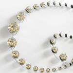 Image of The self-conscious orbital force.