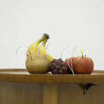 Image of Decomposition.