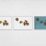Image of Silent Autumn 23042021 (triptych)...