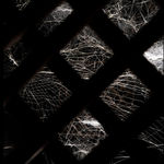 Image of Life(s) of Webs, arachnophobias, arachnophilias, and other stories.