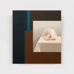 Image of Entanglement.