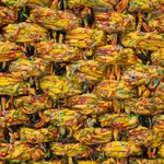 Image of Vibração Contemporosa.