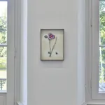 Image of Curtis (No. 571).