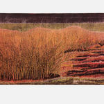 Soghra Khurasani, Shadows under my sky - 6, 2022