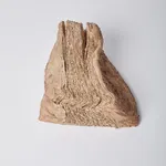 Savia Mahajan, Pietra 12, 2023