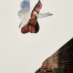 Apnavi Makanji, Perfunctory Voyage, 2022