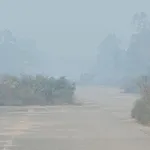 Ronny Sen, Catchment Node VII , 2026